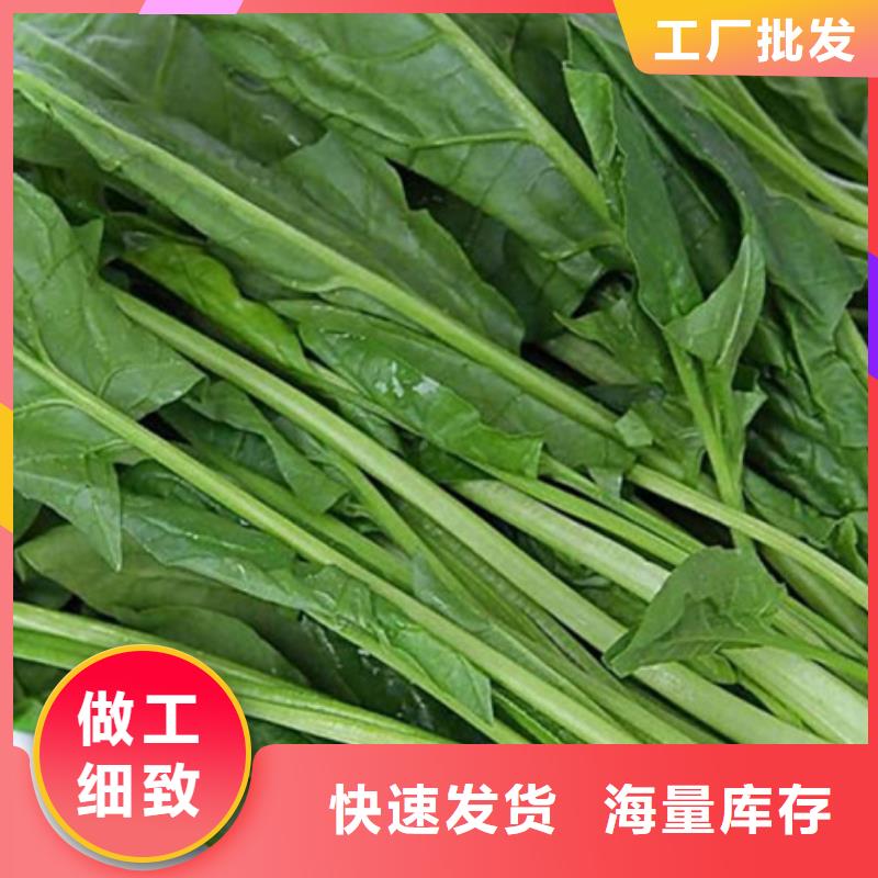南瓜丁视频-南瓜丁-乐农食品(衡阳市分公司)服务区域雁峰|石鼓|永州|岳阳|常德|益阳|郴州|株洲