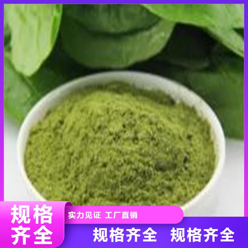 菠菜粉厂家现货