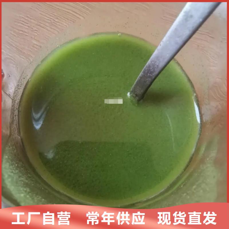 羽衣甘蓝粉-羽衣甘蓝粉本地厂家