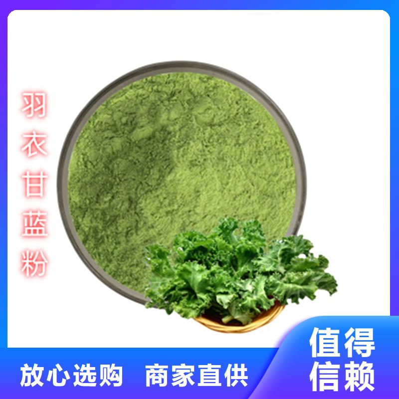 质量可靠的羽衣甘蓝生产厂家