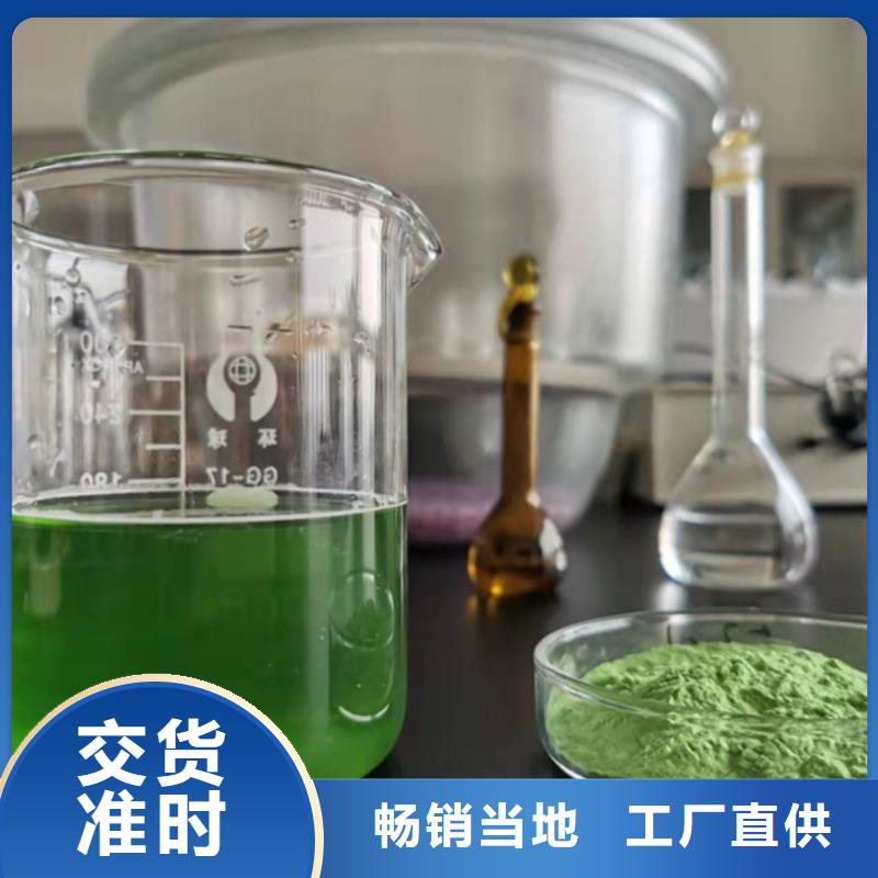 质量可靠的羽衣甘蓝生产厂家