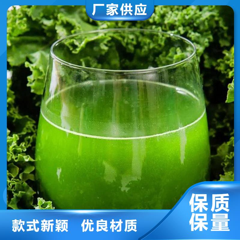 质量可靠的羽衣甘蓝生产厂家