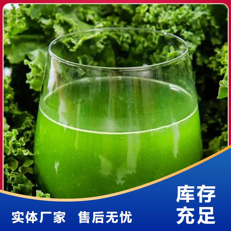 羽衣甘蓝粉-羽衣甘蓝粉好评
