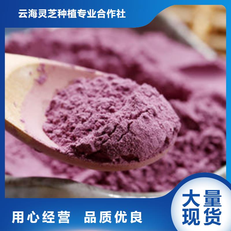 破壁灵芝孢子粉视频-泰州市靖江市|兴化|高港|海陵|泰兴|姜堰破壁灵芝孢子粉-云海