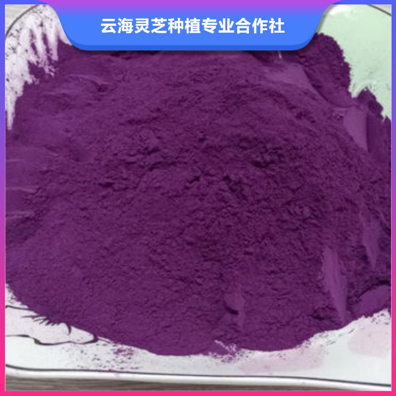 【紫薯粉_保鲜灵芝厂家现货供应】