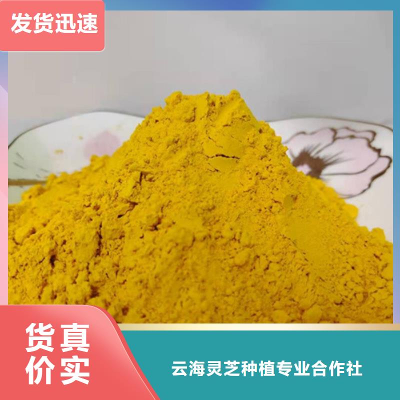 南瓜粉灵芝规格齐全