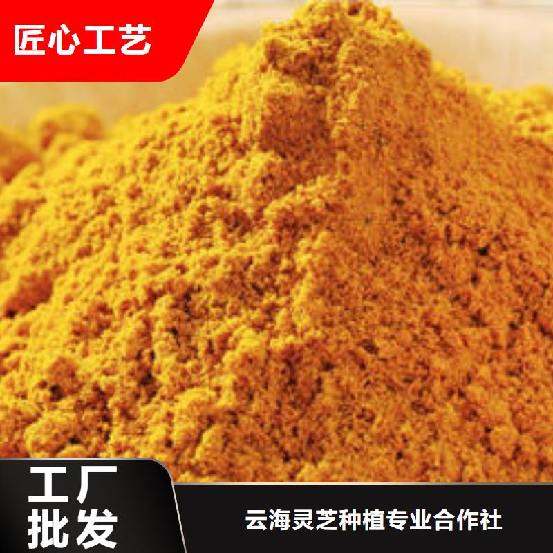 破壁灵芝孢子粉-视频-黑水|松潘|广元|雅安|乐山|泸州|资阳|自贡|宜宾破壁灵芝孢子粉有口皆碑-云海灵芝种植专业社(阿坝市分公司)