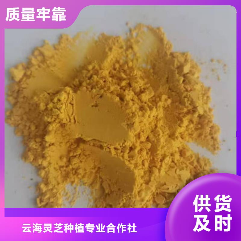 南瓜粉破壁灵芝孢子粉供您所需
