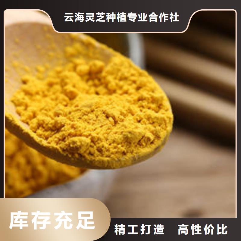 南瓜粉灵芝粉真正的源头厂家