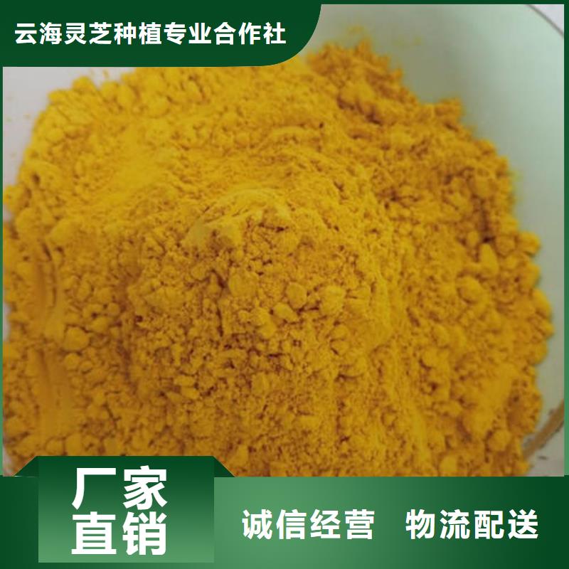 破壁灵芝孢子粉视频-破壁灵芝孢子粉-云海灵芝种植专业社(广元市分公司)服务区域青川|剑阁|南充|巴中|眉山|德阳|凉山