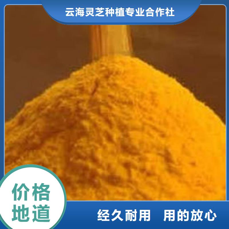 破壁灵芝孢子粉视频-破壁灵芝孢子粉_甘肃省平凉市市场覆盖庄浪|泾川|陇南|甘南|兰州|酒泉|临夏|嘉峪关等