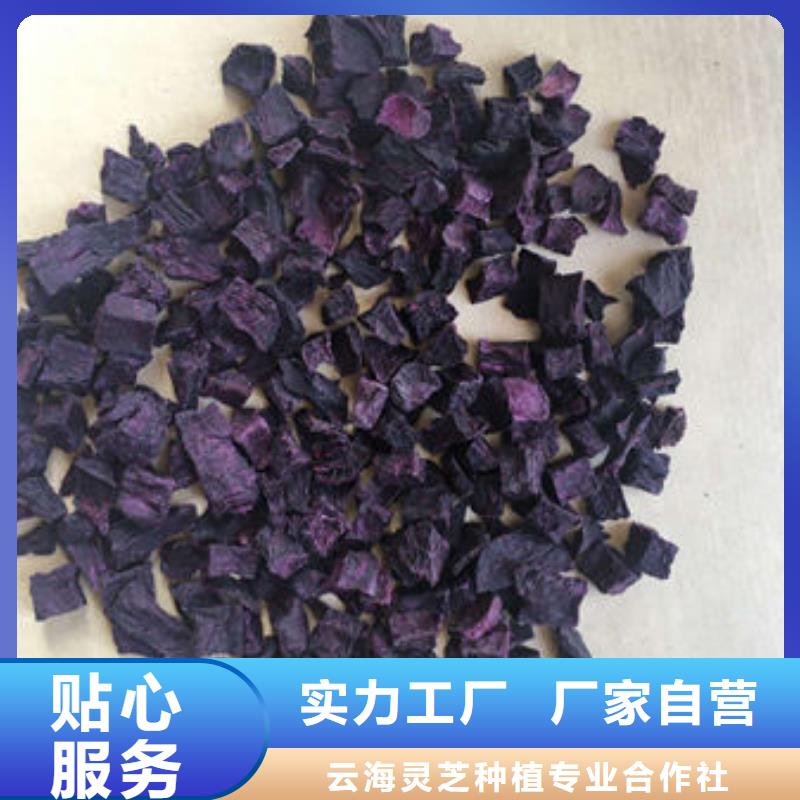 【紫薯丁】灵芝菌包买的放心安兴用的舒心