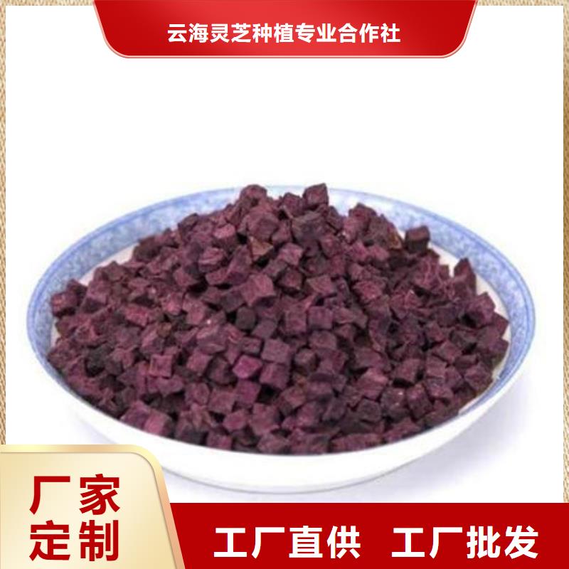 紫薯丁灵芝粉批发商
