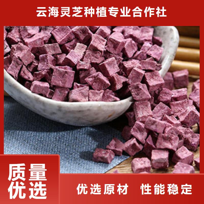 紫薯丁灵芝粉批发商