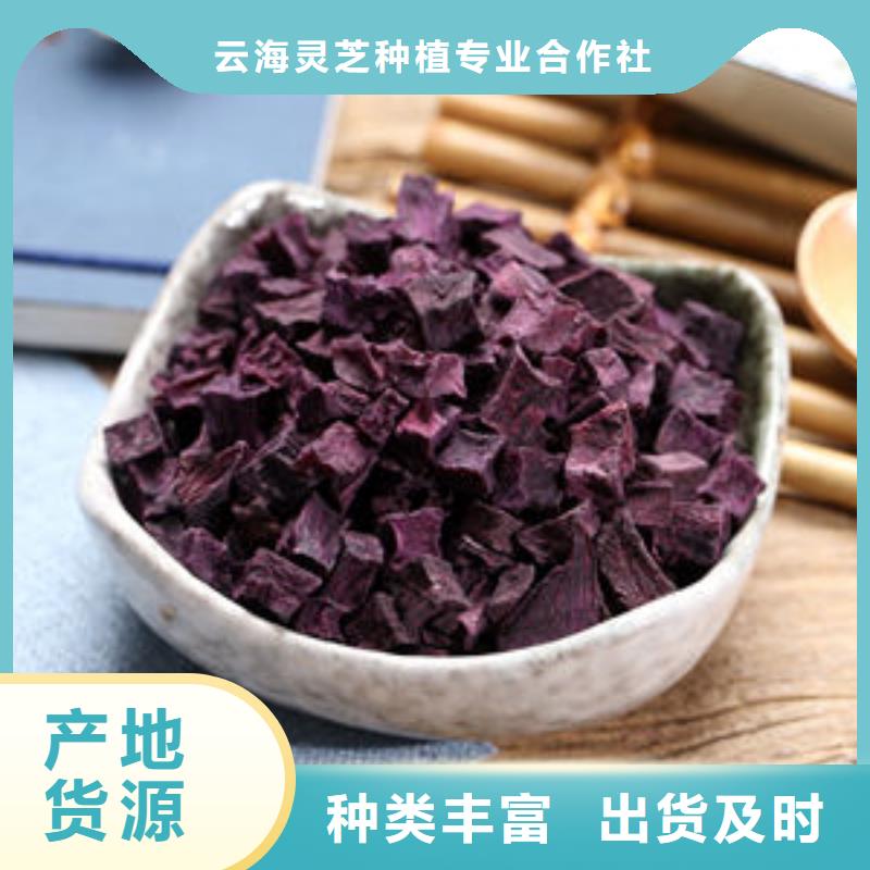 紫薯丁灵芝粉批发商