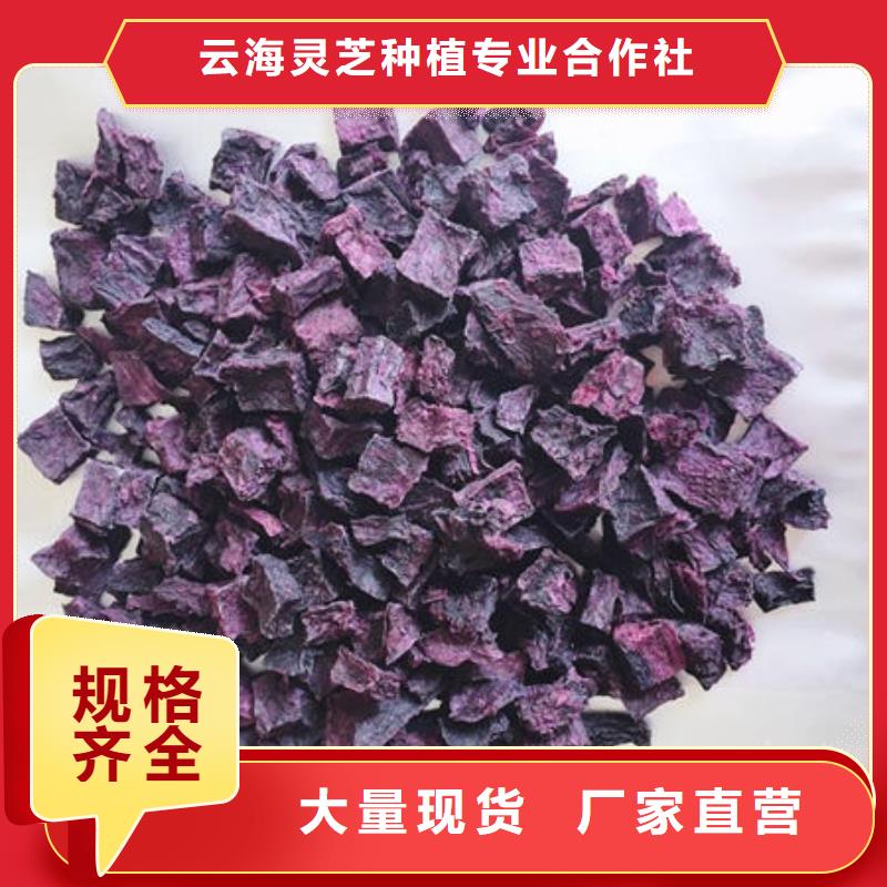紫薯丁灵芝粉批发商