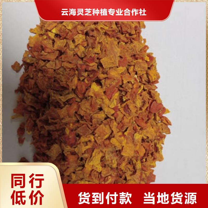 南瓜丁灵芝厂家批发价