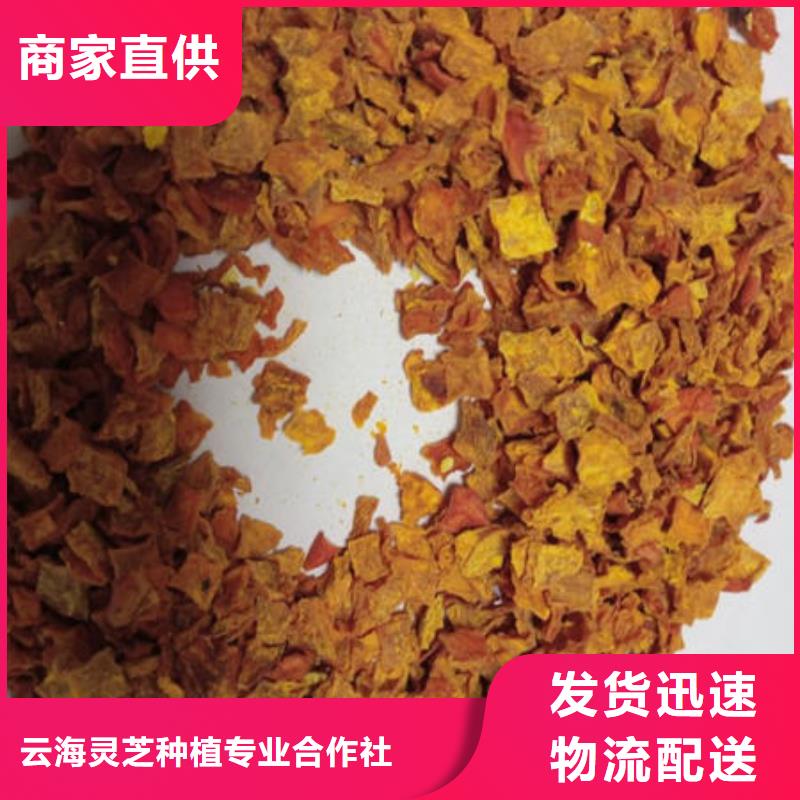 南瓜丁灵芝厂家批发价