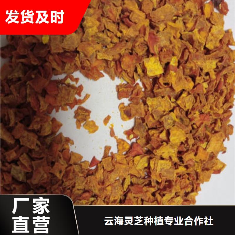 破壁灵芝孢子粉-视频-莱城|钢城|聊城|济宁|东营|菏泽|临沂破壁灵芝孢子粉认准大品牌厂家-云海灵芝种植专业社(莱芜市分公司)