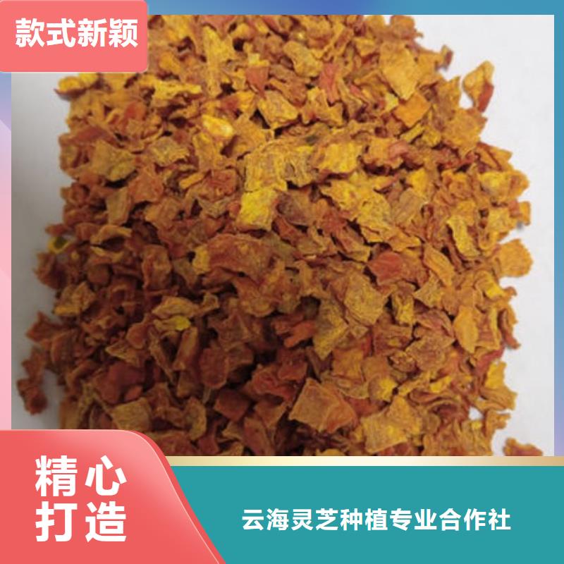南瓜丁灵芝厂家批发价