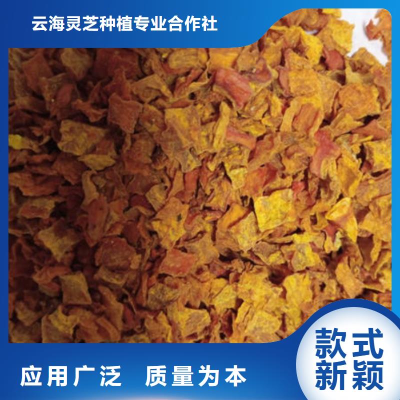 破壁灵芝孢子粉-视频-破壁灵芝孢子粉-云海灵芝种植专业社(河南省分公司)服务区域漯河|平顶山|洛阳|商丘|安阳|南阳