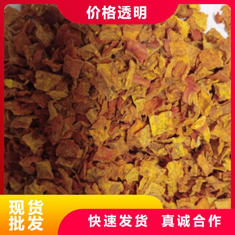 南瓜丁灵芝厂家批发价