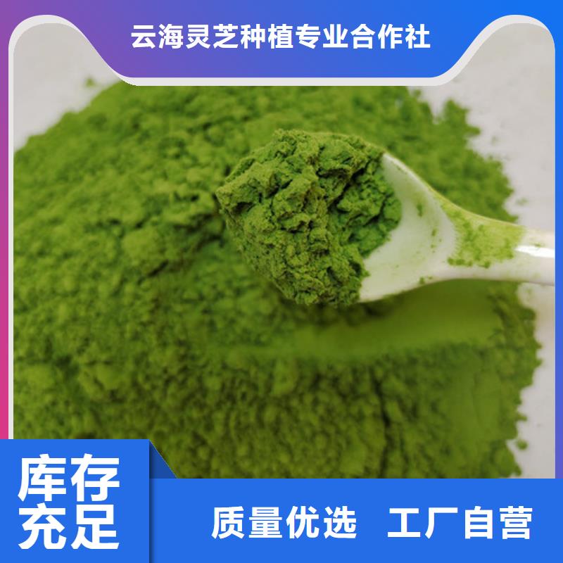 破壁灵芝孢子粉-视频-斗门|金湾|揭阳|广州|深圳|汕头|云浮|中山破壁灵芝孢子粉从厂家买售后有保障-云海灵芝种植专业社(珠海市分公司)