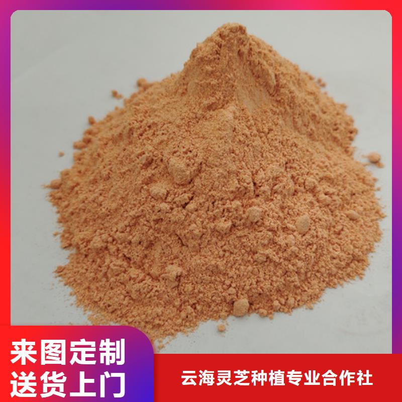 胡萝卜粉灵芝孢子粉厂家精选