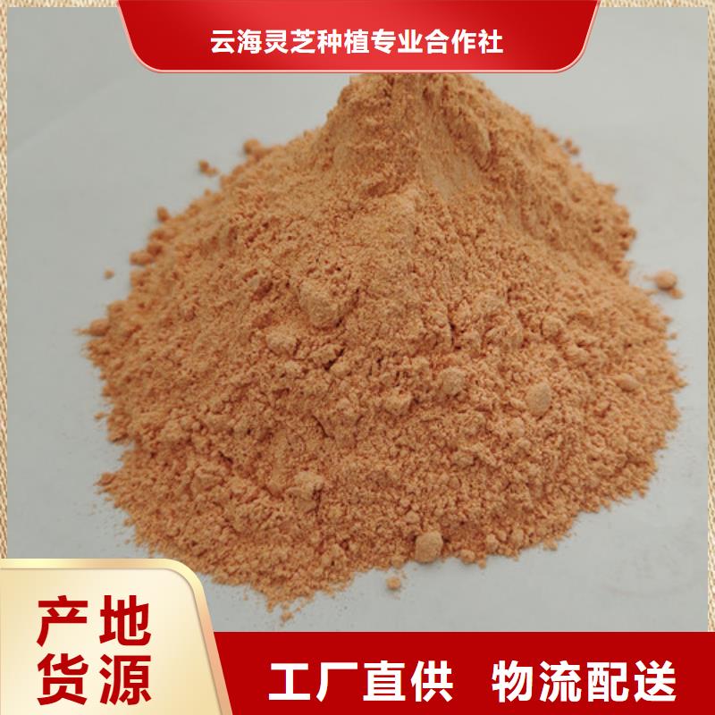 【胡萝卜粉】灵芝栽培技术实力厂家直销