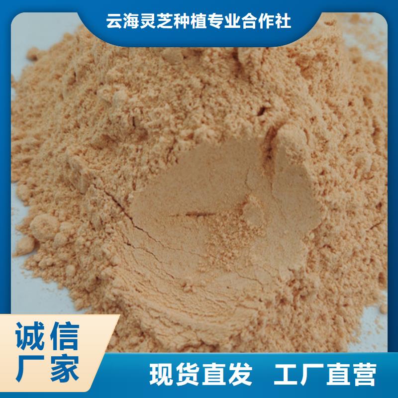 破壁灵芝孢子粉视频-破壁灵芝孢子粉-云海灵芝种植专业社(曲靖市分公司)服务区域罗平|富源|红河|怒江|临沧|保山|西双版纳|大理|迪庆