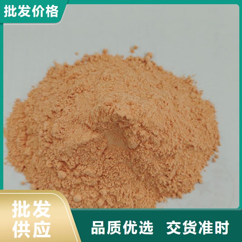 胡萝卜粉无硫野生黑灵芝欢迎来厂考察