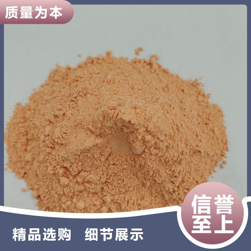 胡萝卜粉无硫野生黑灵芝欢迎来厂考察