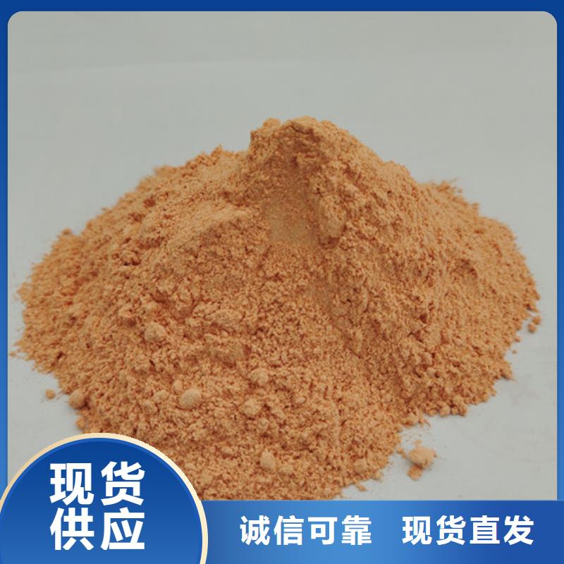 胡萝卜粉无硫野生黑灵芝欢迎来厂考察
