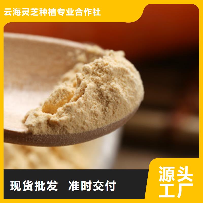 破壁灵芝孢子粉视频-破壁灵芝孢子粉-云海灵芝种植专业社(曲靖市分公司)服务区域罗平|富源|红河|怒江|临沧|保山|西双版纳|大理|迪庆
