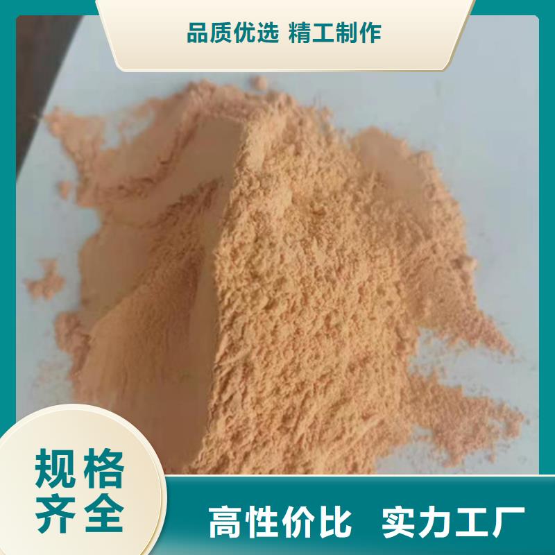 胡萝卜粉无硫野生黑灵芝欢迎来厂考察