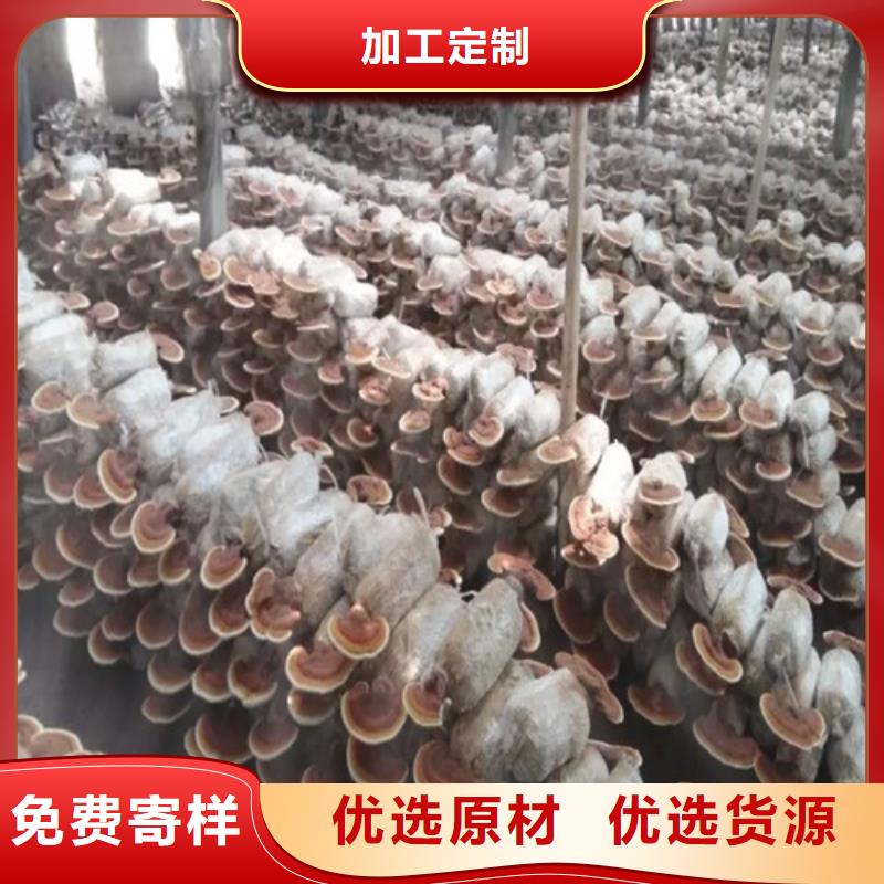 灵芝粉-货到付款