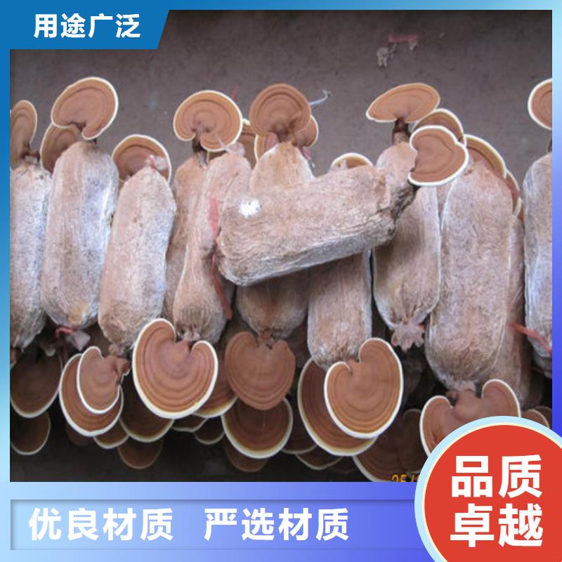 滦南灵芝是什么味道