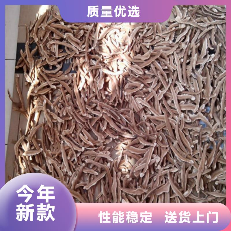 畅销的孢子灵芝生产厂家