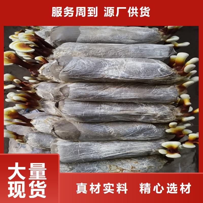 破壁灵芝孢子粉-视频-辽宁省本溪市云海破壁灵芝孢子粉可服务区域明山|南芬|阜新|锦州|盘锦|抚顺|朝阳等
