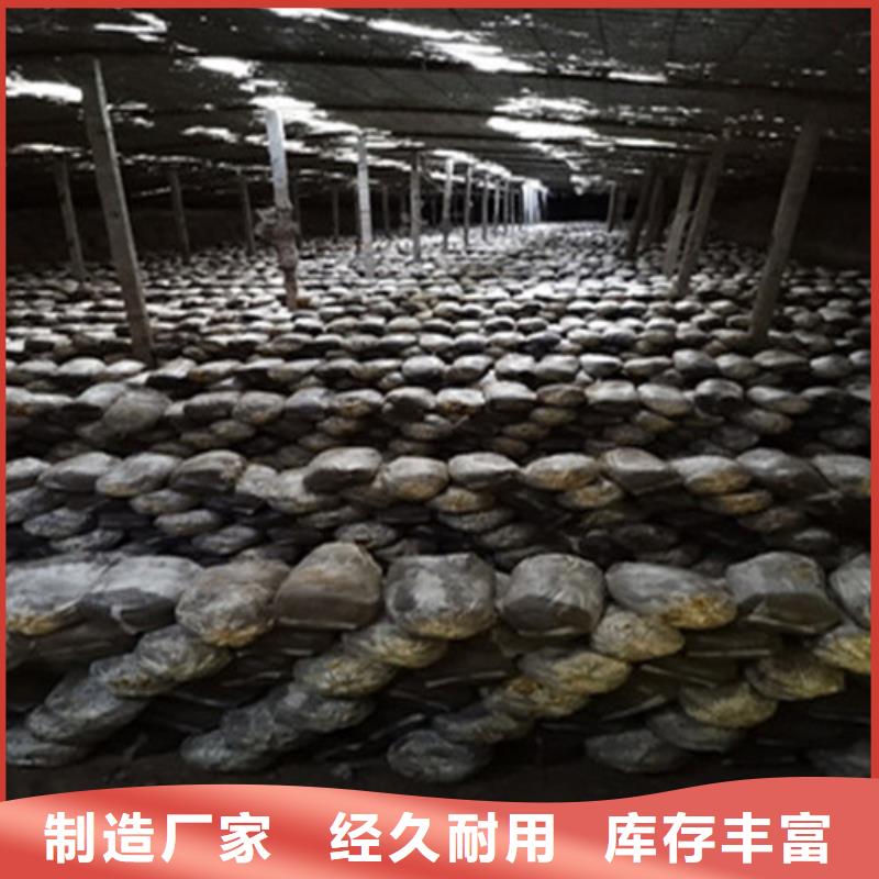凤县破壁灵芝孢子粉怎么吃好吃
