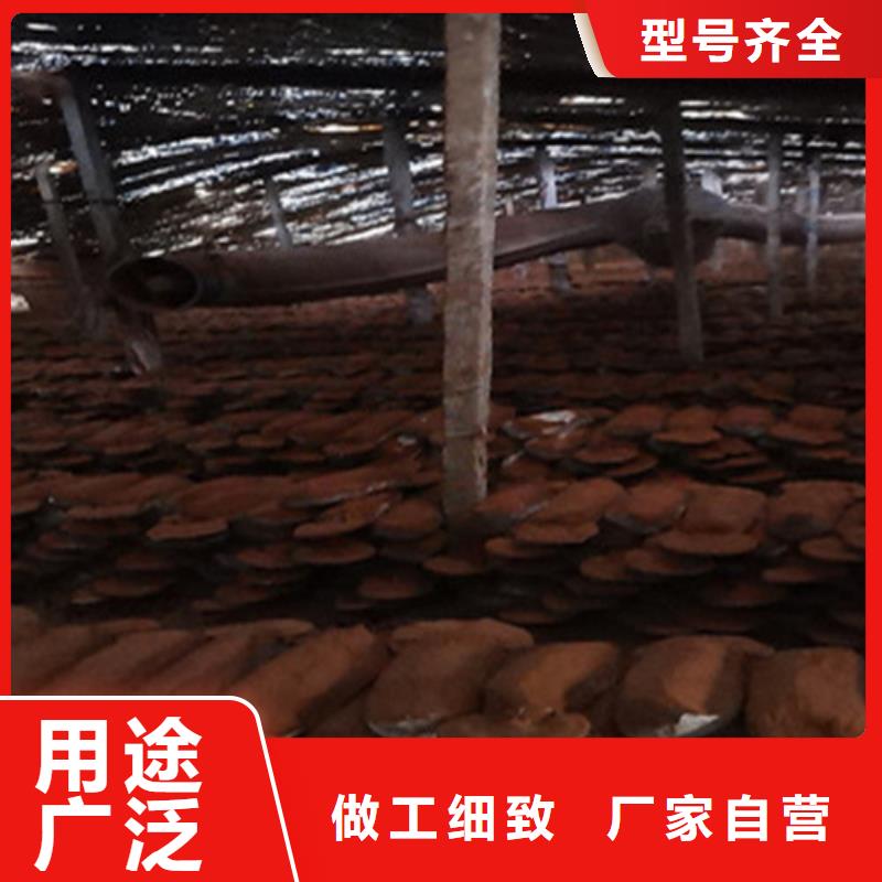 灵芝粉加工厂家