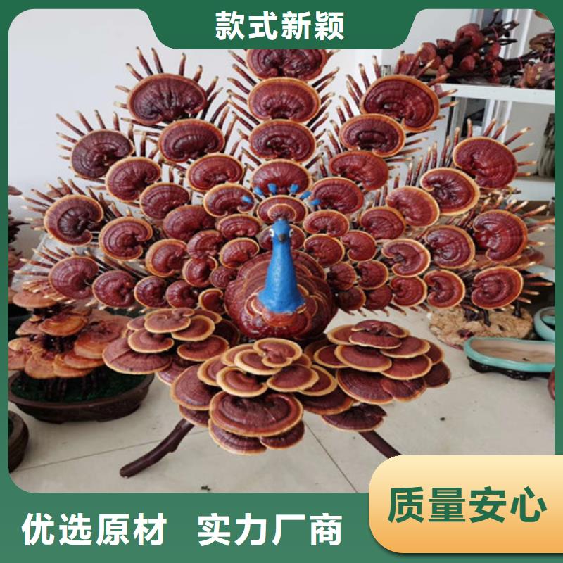 供应灵芝粉_生产厂家