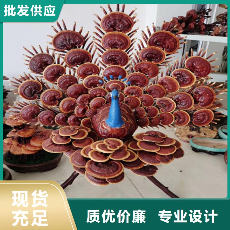 破壁灵芝孢子粉-视频-破壁灵芝孢子粉(云海)覆盖地域黑龙江省牡丹江市宁安|穆棱|齐齐哈尔|佳木斯|大兴安岭|哈尔滨