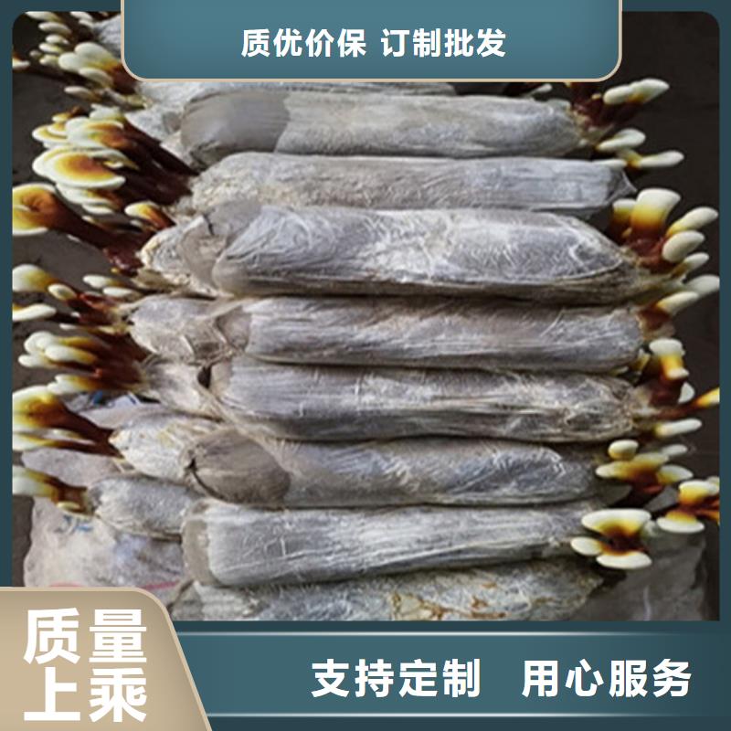 破壁灵芝孢子粉-视频-辽宁省本溪市云海破壁灵芝孢子粉可服务区域明山|南芬|阜新|锦州|盘锦|抚顺|朝阳等