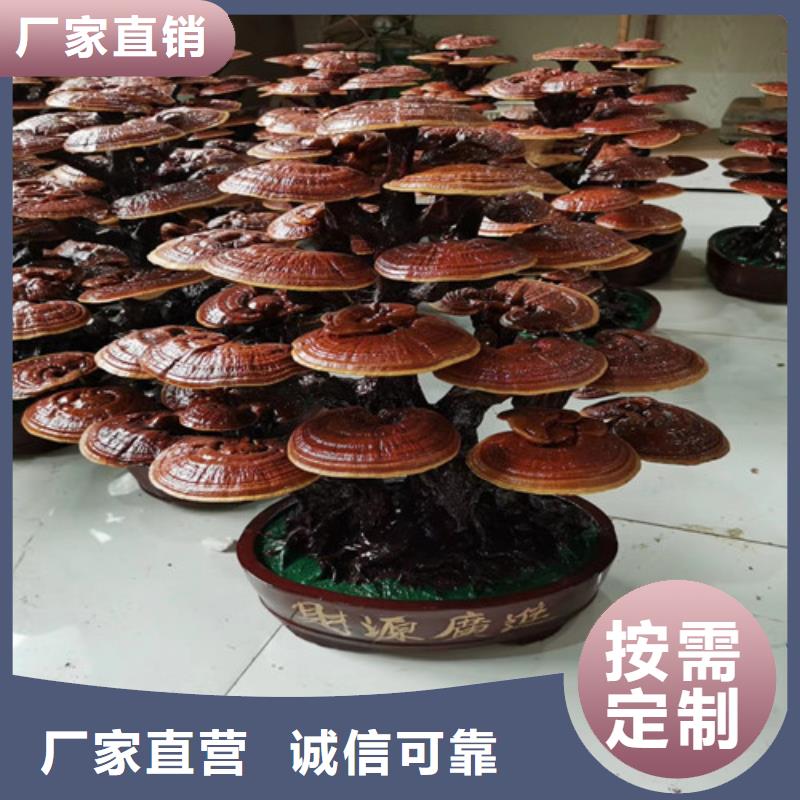 库存充足的灵芝孢子粉公司
