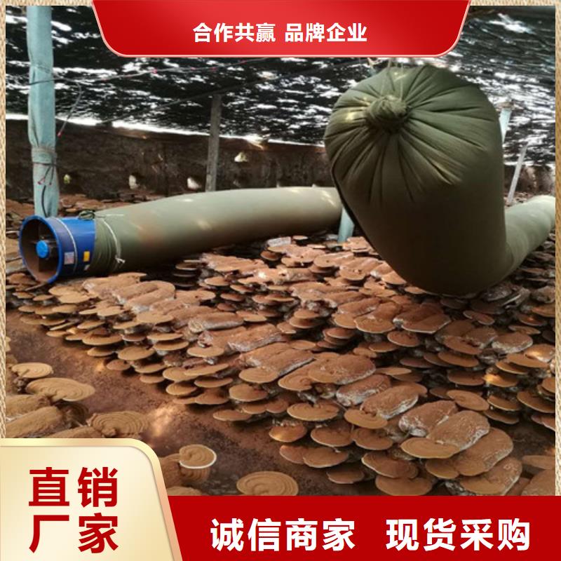 咨询灵芝孢子粉厂家