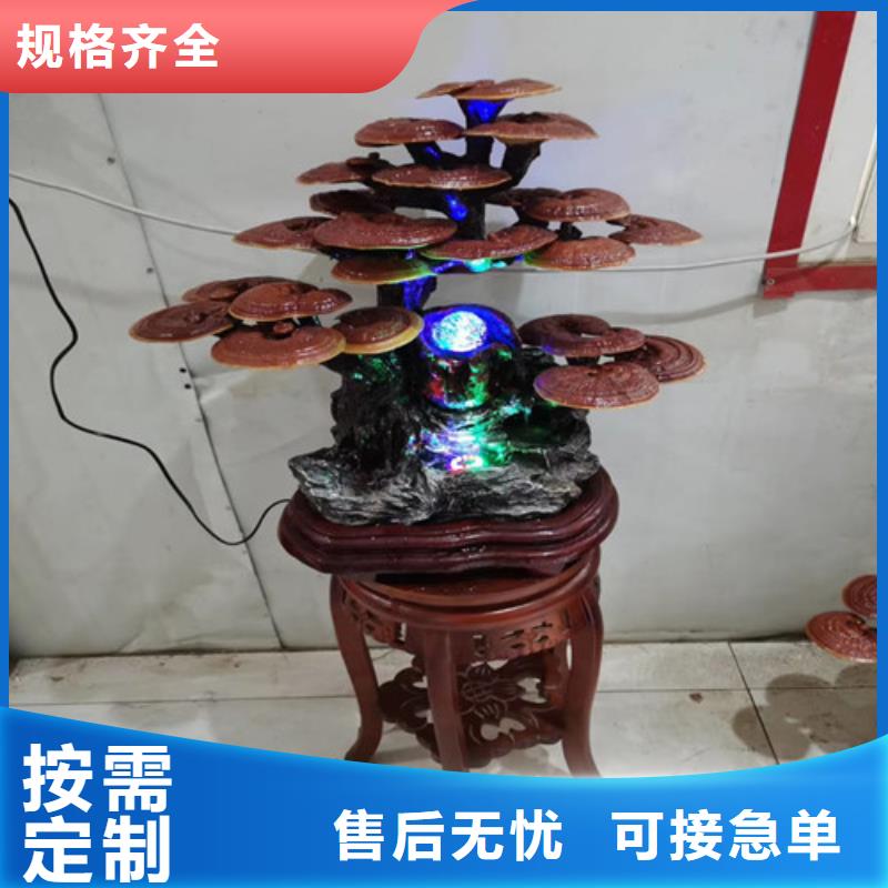 阳春灵芝吃的方法