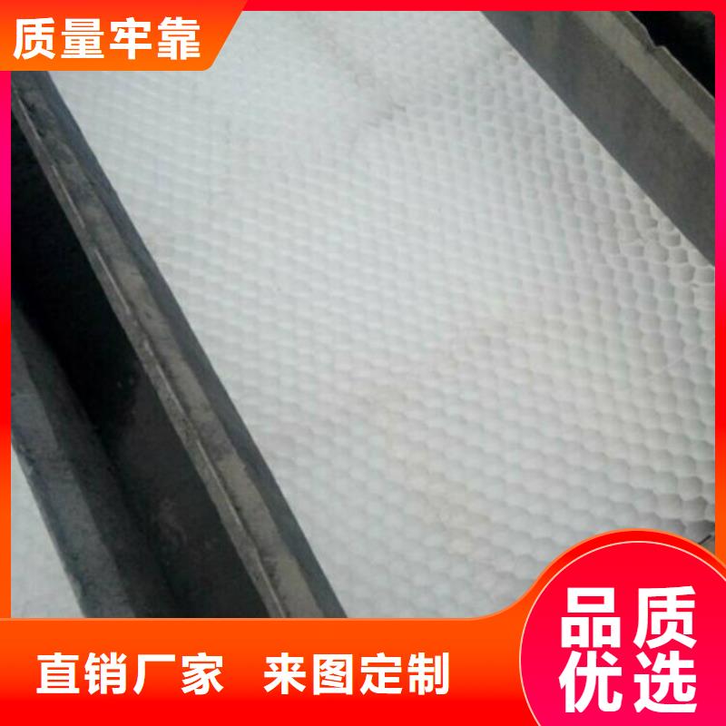 蜂窝斜管_柱状活性炭快捷的物流配送