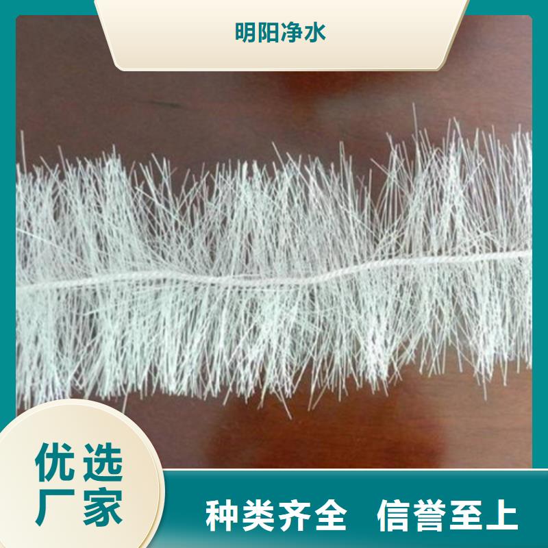 弹性填料【蜂窝斜管】批发价格