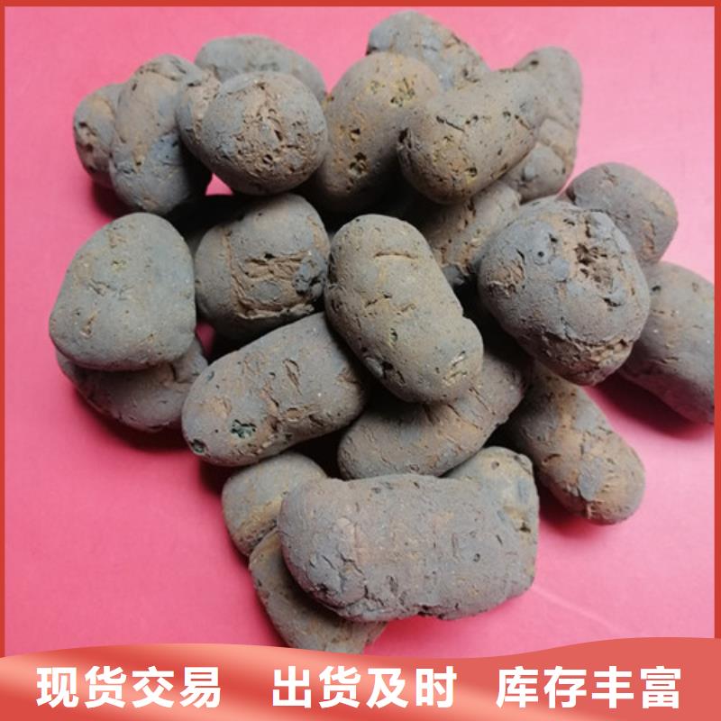 陶粒_椰壳粉末活性炭服务周到